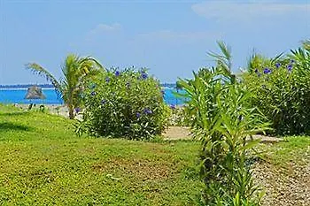 فندق Playa Paraisoفي  The Bliss Riviera Maya Lg المكسيك